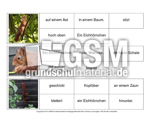 Sätze-bilden-Eichhörnchen 9.pdf